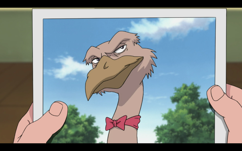 Condor is one photogenic bird, on top of all his other attributes.